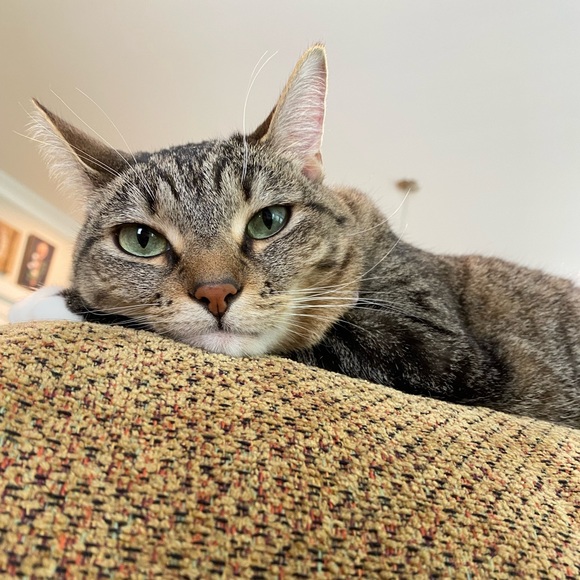 Meet your Posher, Gaby - Picture 1 of 1